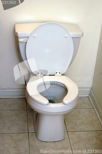 Image of Toilet Bowl