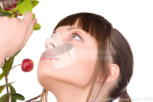 Image of lovely woman with apple twig