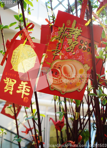 Image of Cards for Year of the Pig - Chinese New Year