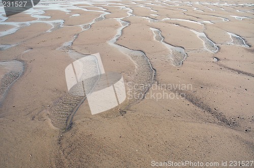 Image of Muddy beach at ebb tide