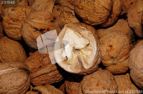 Image of walnuts