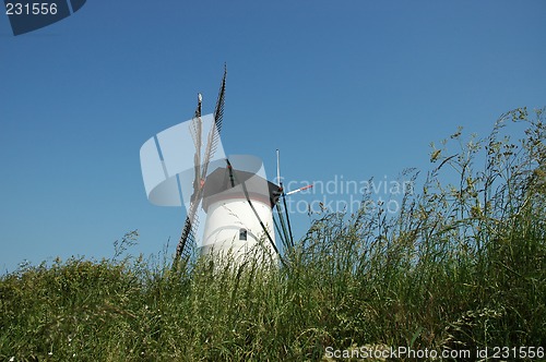 Image of White dutch mill