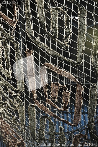 Image of Camouflage rack