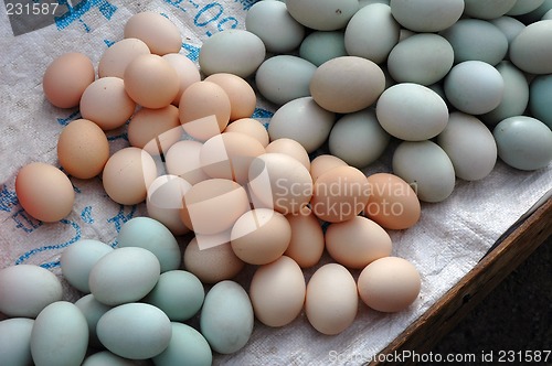 Image of Colored eggs