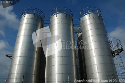 Image of plant 1