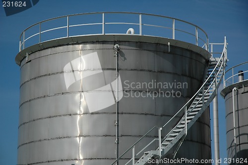 Image of plant 2