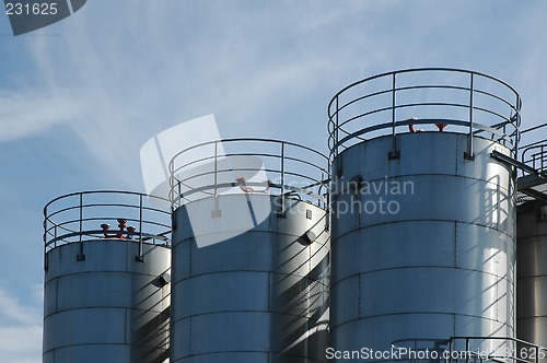 Image of plant 3