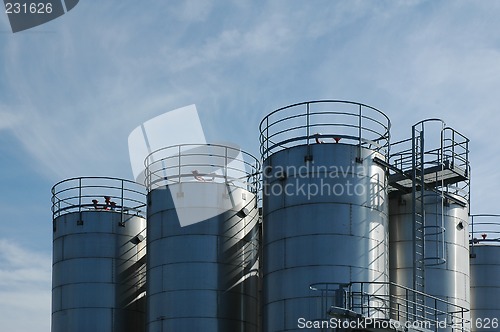 Image of plant 4