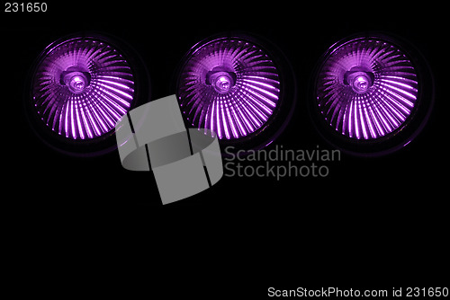 Image of Halogen spotlights in color purple