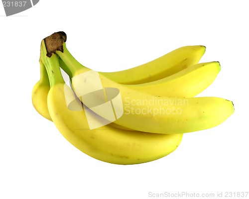 Image of Bananas