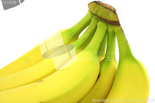 Image of Bananas