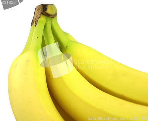 Image of Bananas