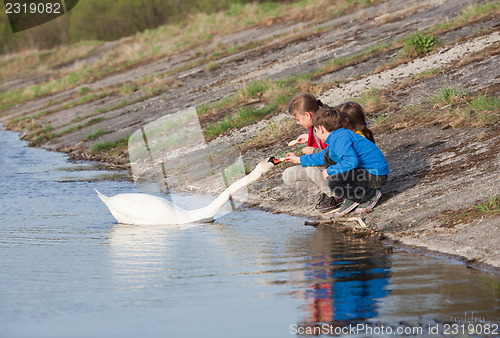 Image of Children feeding swan