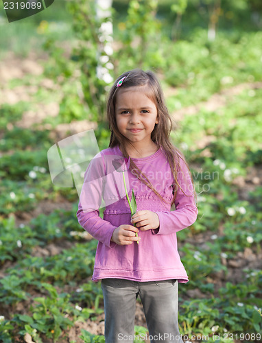 Image of Little girl with flower