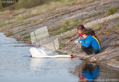 Image of Children feeding swan