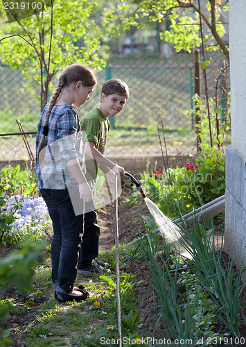 Image of Watering