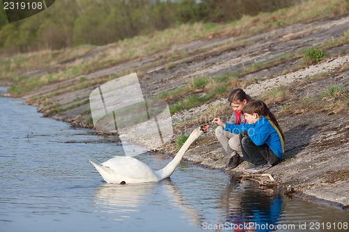 Image of Children feeding swan