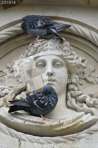 Image of Pigeons on statue