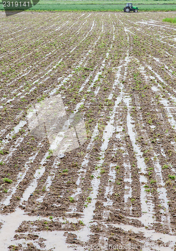 Image of Agriculture disaster