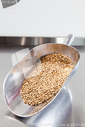 Image of Beer Malt