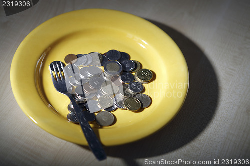 Image of Euro coins in a plate