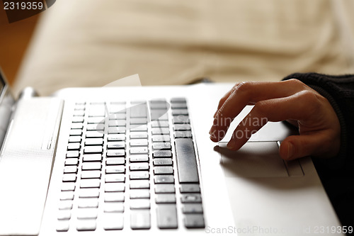 Image of Young woman working on laptop