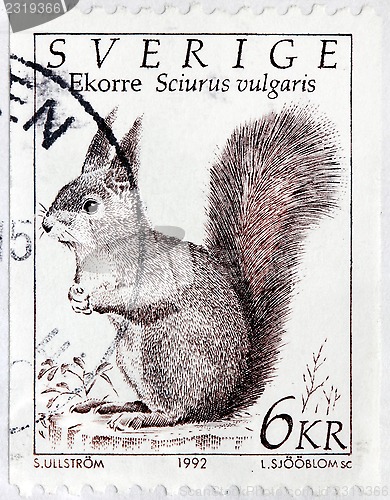 Image of Squirrel Swedish Stamp