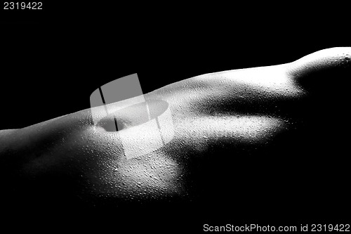Image of Nude Bodyscape Images of a Woman