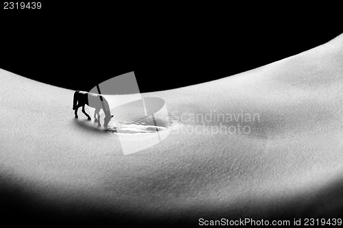 Image of Nude Bodyscape Images of a Woman