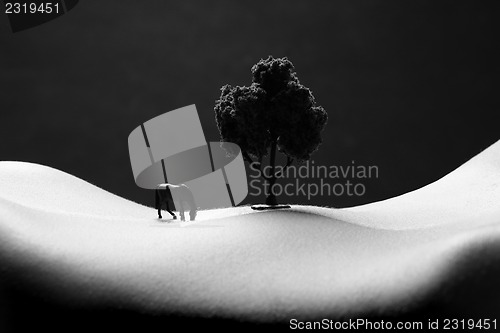 Image of Landscape Bodyscape Image of a Woman