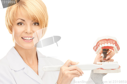 Image of doctor with toothbrush and jaws