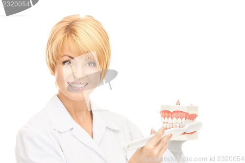 Image of doctor with toothbrush and jaws