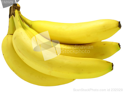 Image of Banana Bunch