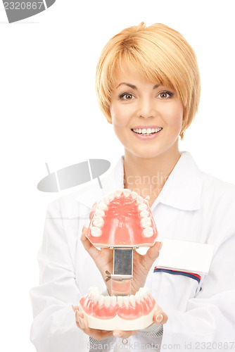 Image of doctor with jaws