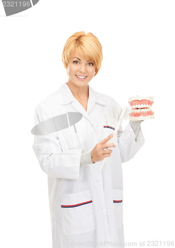 Image of doctor with toothbrush and jaws