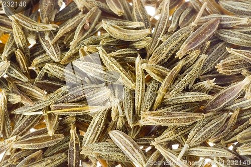 Image of Cumin seeds

