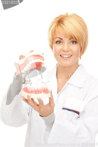 Image of doctor with jaws