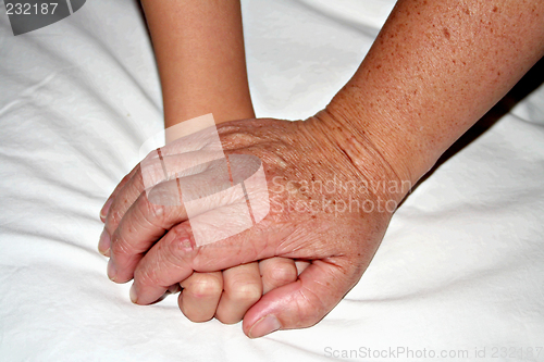 Image of Hands that Care