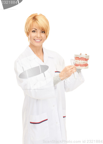Image of doctor with toothbrush and jaws