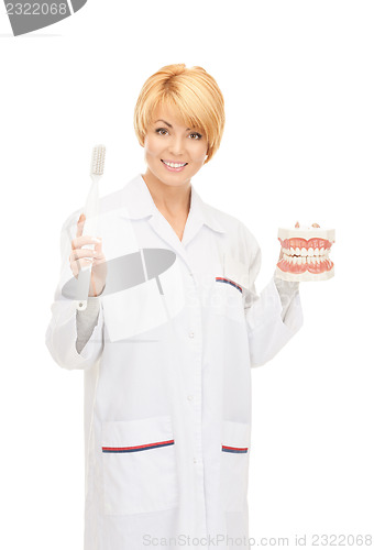 Image of doctor with toothbrush and jaws