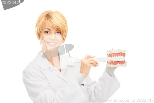 Image of doctor with toothbrush and jaws