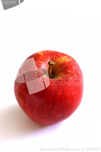 Image of An Apple