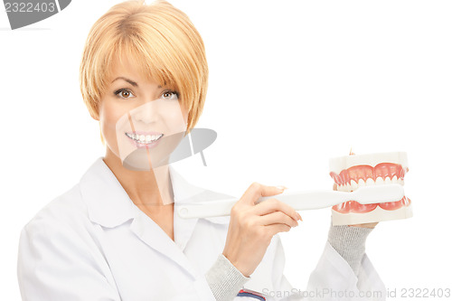 Image of doctor with toothbrush and jaws