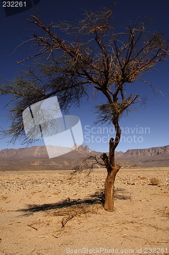 Image of Jebel Uwaynat