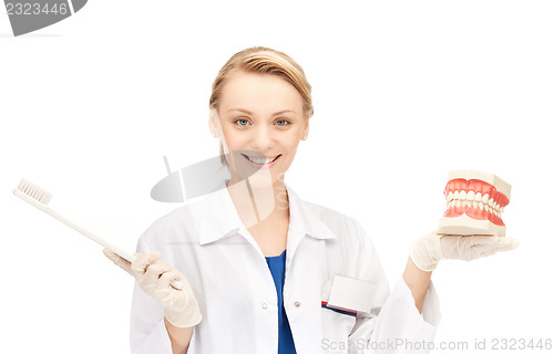 Image of doctor with toothbrush and jaws