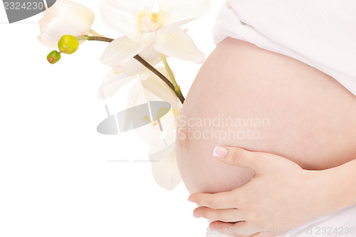 Image of pregnant woman belly