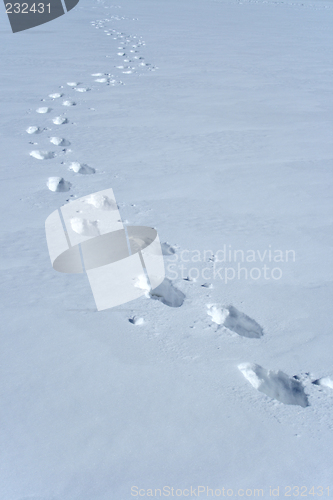 Image of Footprints in the snow