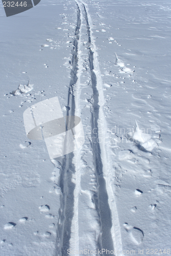 Image of Ski tracks in the snow