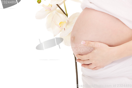 Image of pregnant woman belly