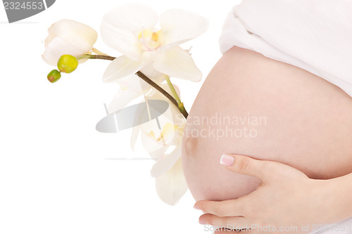 Image of pregnant woman belly